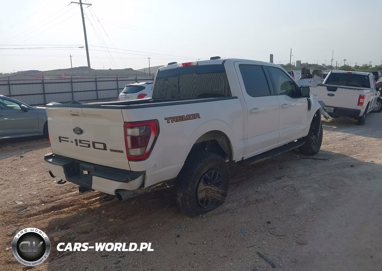 2021 Ford F-150 Tremor VIN:1FTEW1E81MFC88056 - 4