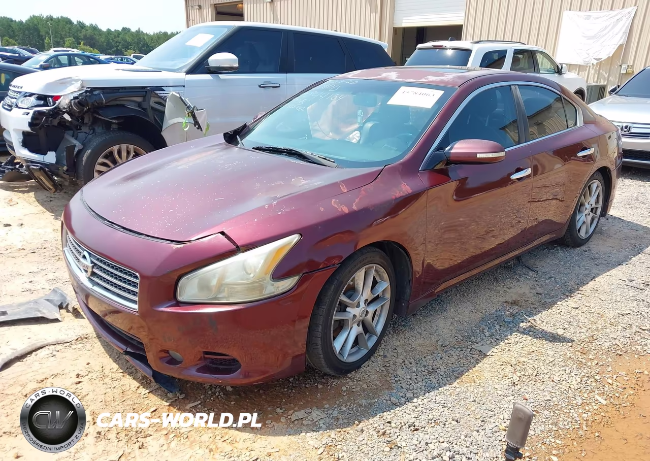 2011 Nissan Maxima 3.5 Sv VIN:1N4AA5AP7BC844134 - 2