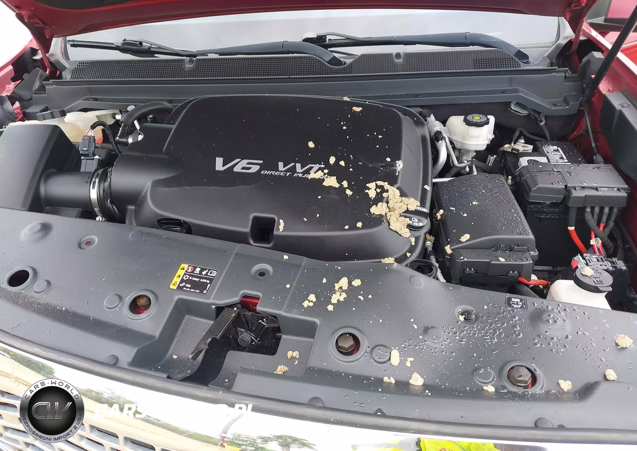 2020 GMC Canyon 4Wd Short Box Denali VIN:1GTG6EEN5L1209375 - 10