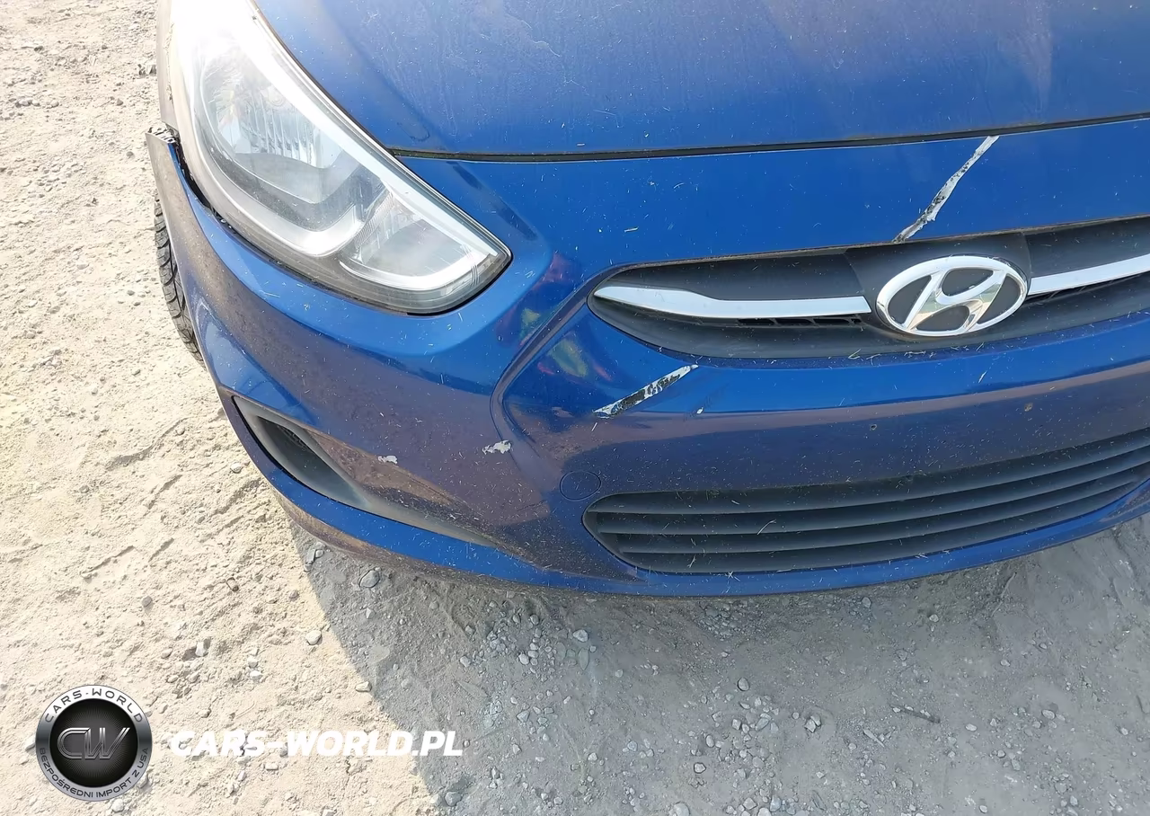 2015 Hyundai Accent Gs VIN:KMHCT5AE6FU204813 - 12