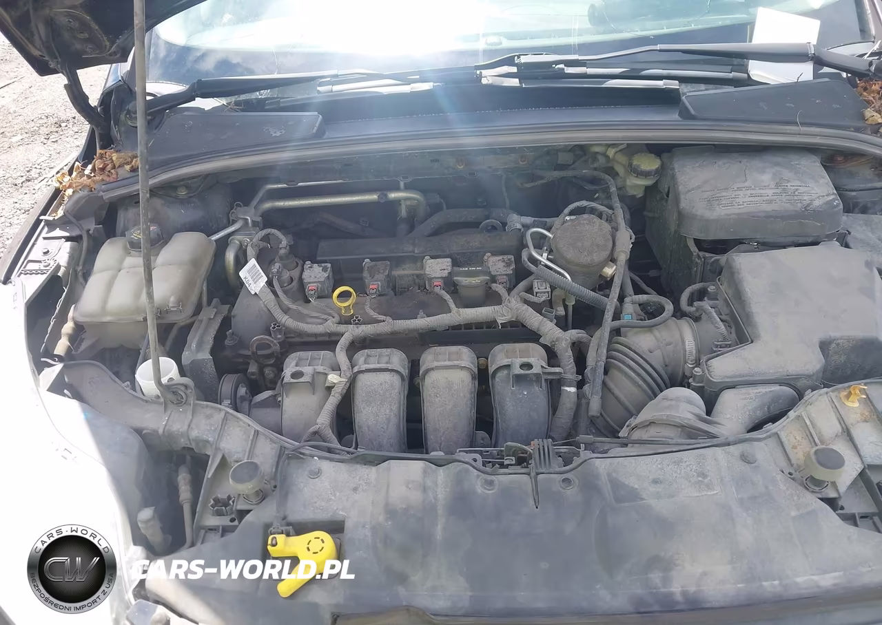 2014 Ford Focus Se VIN:1FADP3F23EL365940 - 10