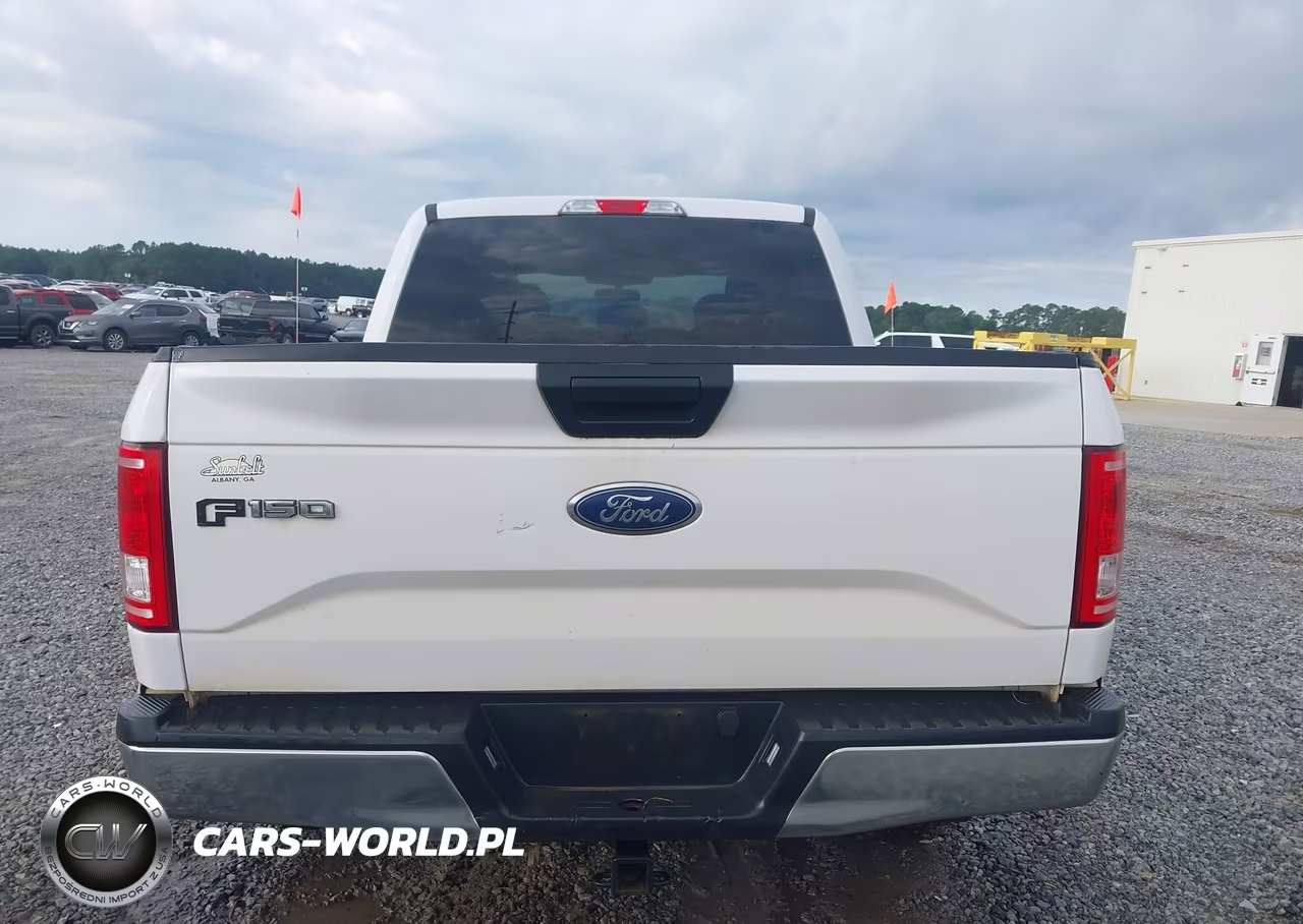 2017 Ford F-150 Xlt VIN:1FTEW1C89HKC65737 - 16
