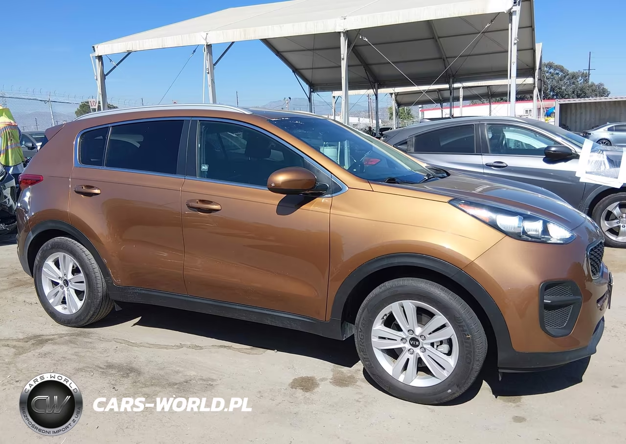 2019 Kia Sportage Lx VIN:KNDPM3AC6K7544154 - 12