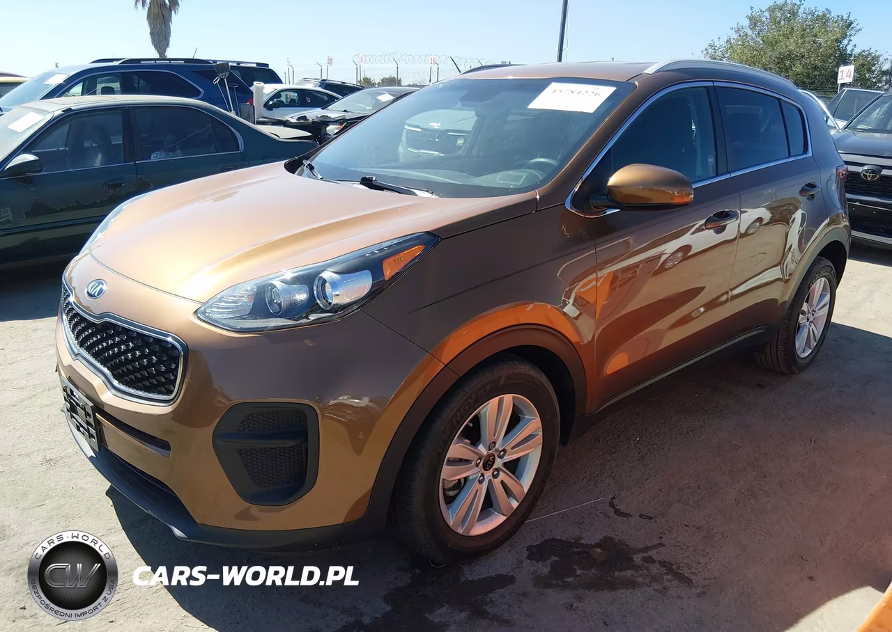 2019 Kia Sportage Lx VIN:KNDPM3AC6K7544154 - 2