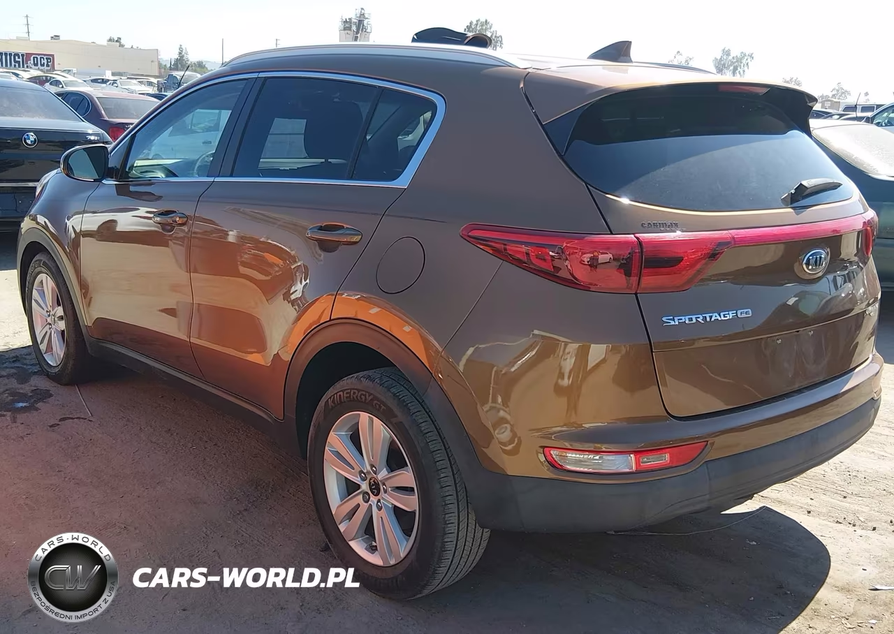 2019 Kia Sportage Lx VIN:KNDPM3AC6K7544154 - 3