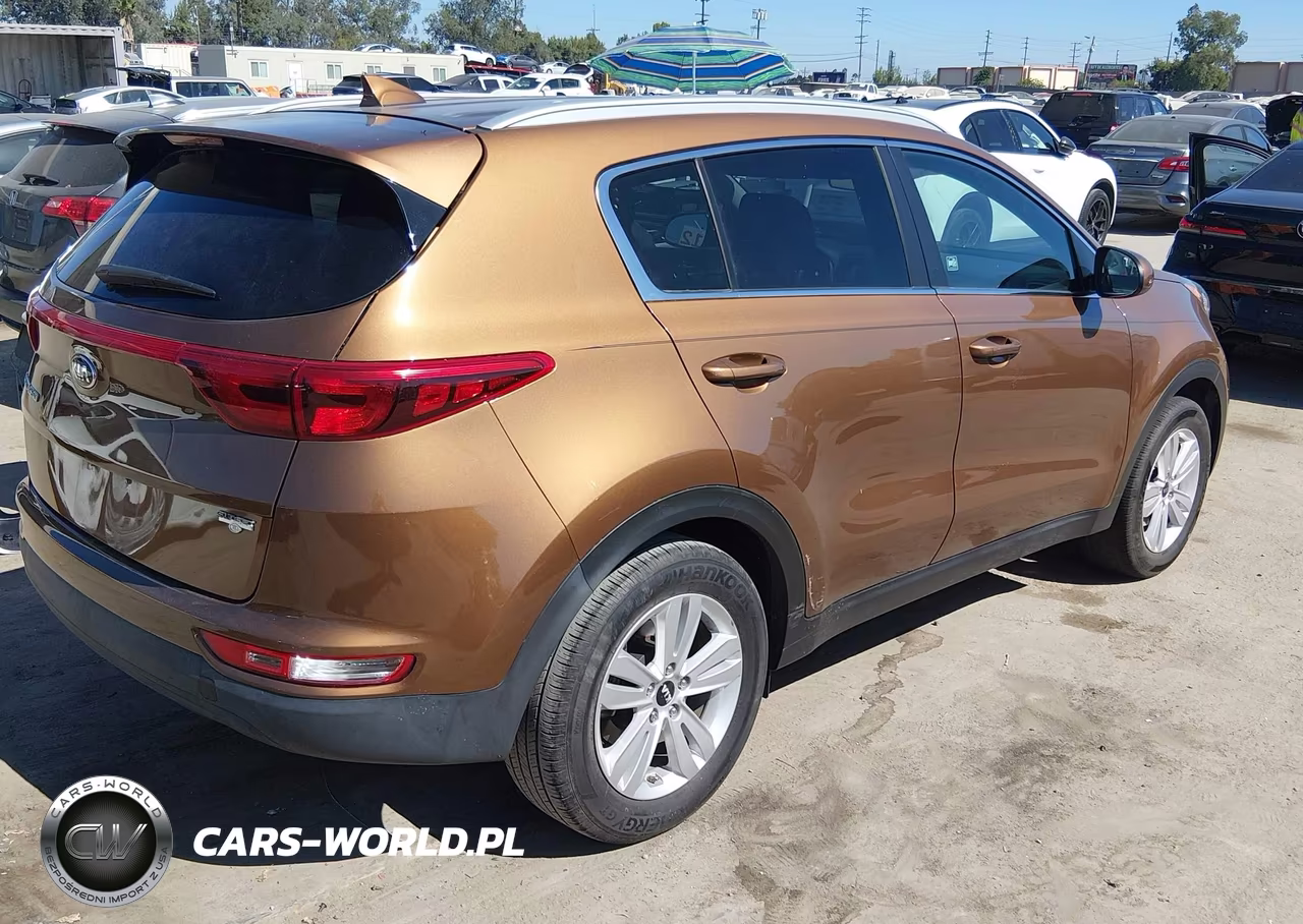 2019 Kia Sportage Lx VIN:KNDPM3AC6K7544154 - 4