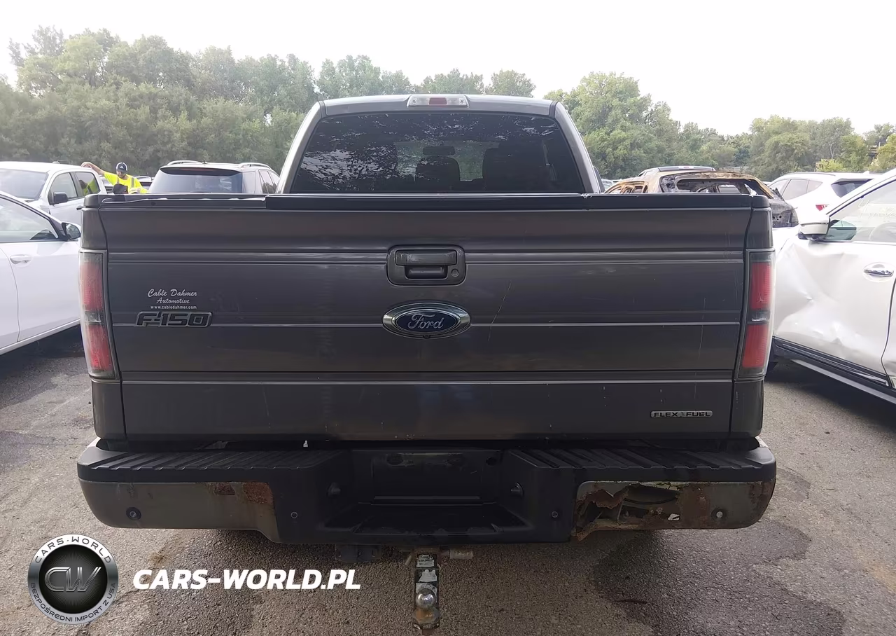 2012 Ford F-150 Fx4 VIN:1FTFX1EF0CFA49449 - 16