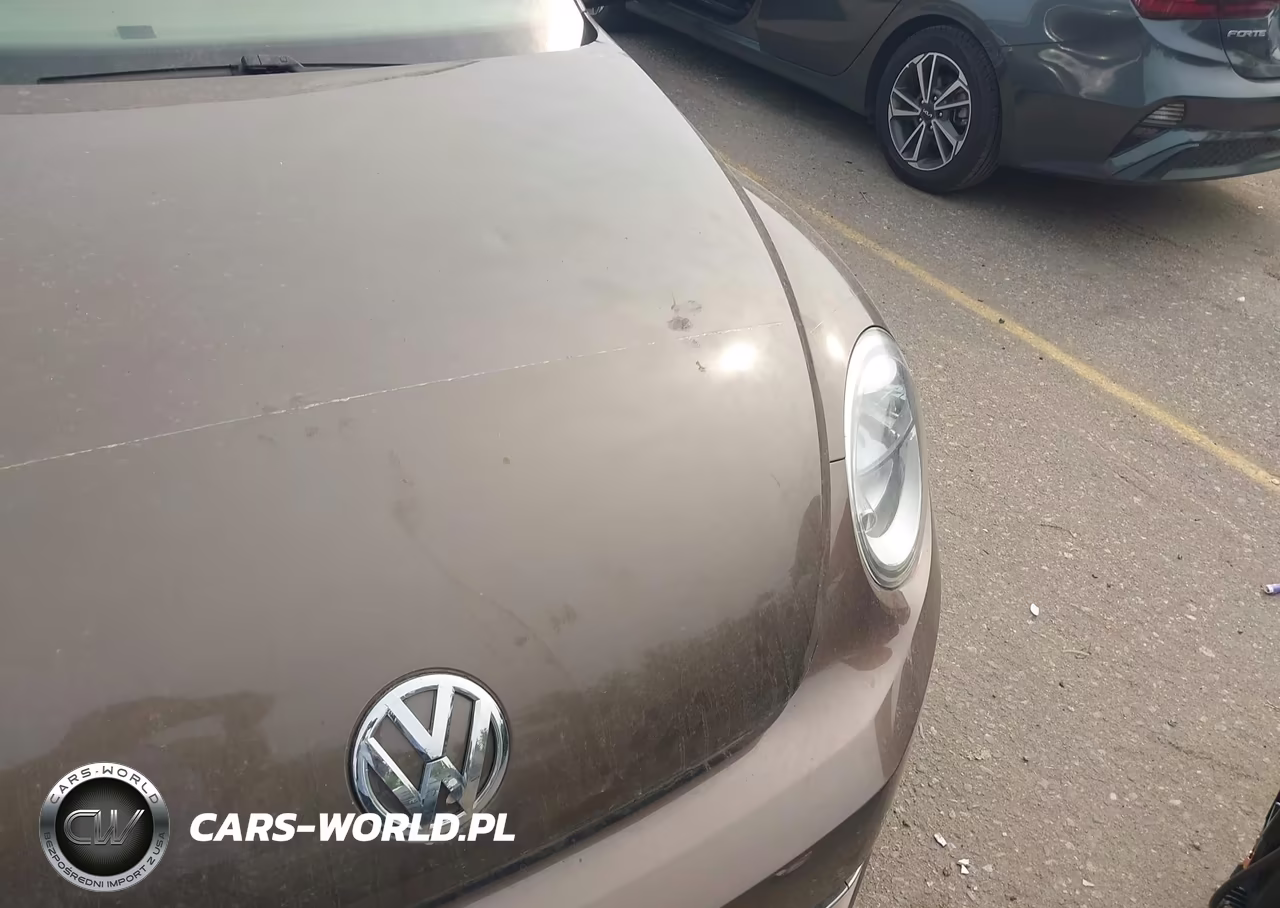 2014 Volkswagen Beetle 2.0L Tdi VIN:3VWJL7AT2EM633534 - 6