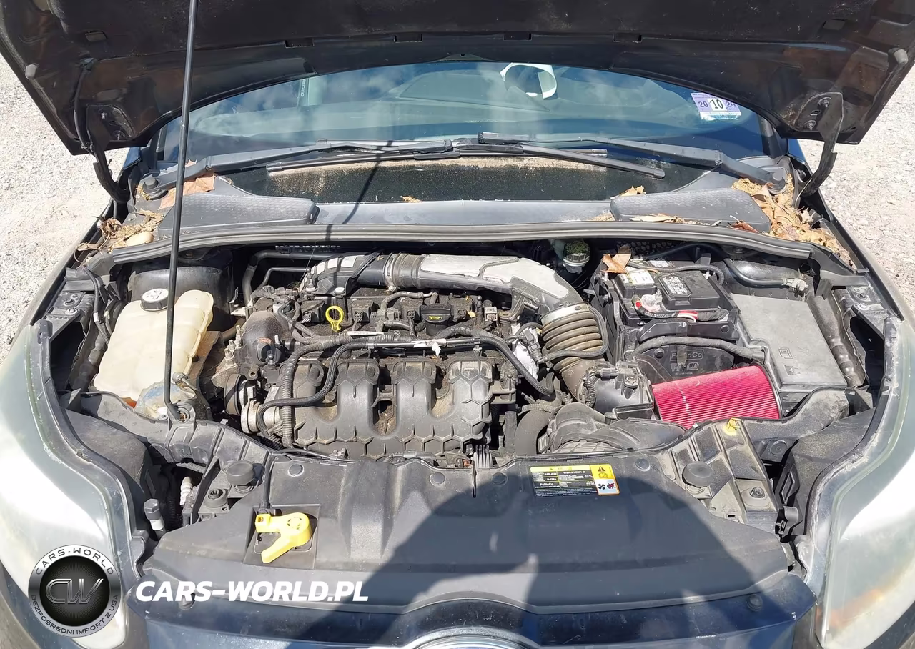 2013 Ford Focus St VIN:1FADP3L95DL149801 - 10