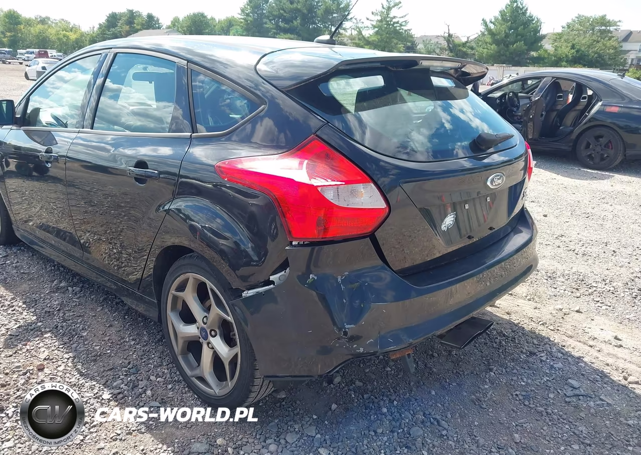 2013 Ford Focus St VIN:1FADP3L95DL149801 - 6