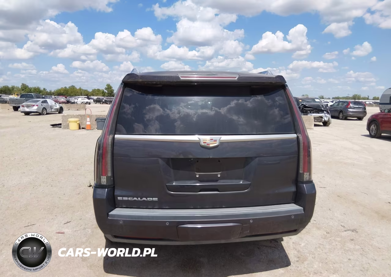 2015 Cadillac Escalade Luxury VIN:1GYS4MKJ8FR564956 - 16