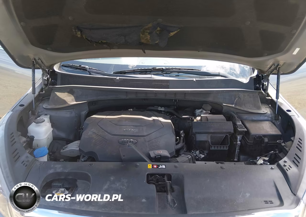 2019 Kia Sorento 3.3L Lx VIN:5XYPG4A55KG537570 - 10