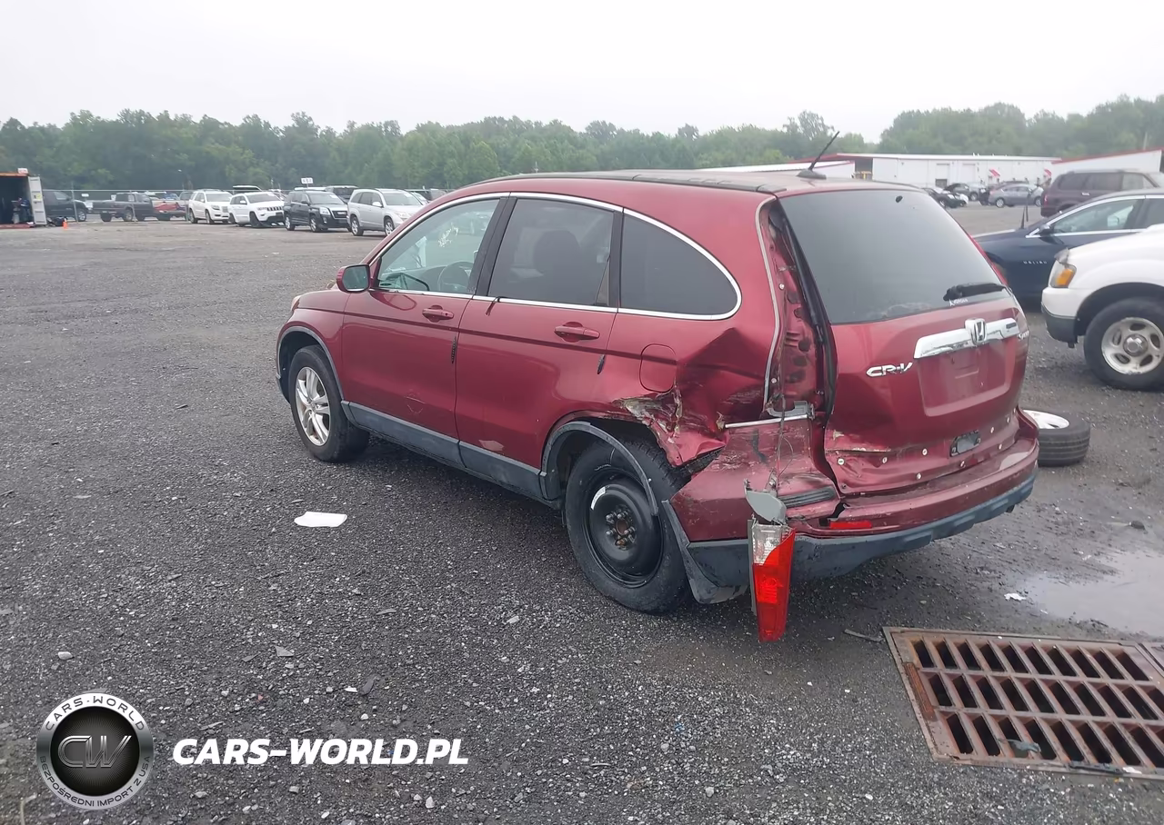 2010 Honda Cr-V Ex-L VIN:5J6RE3H76AL035003 - 3