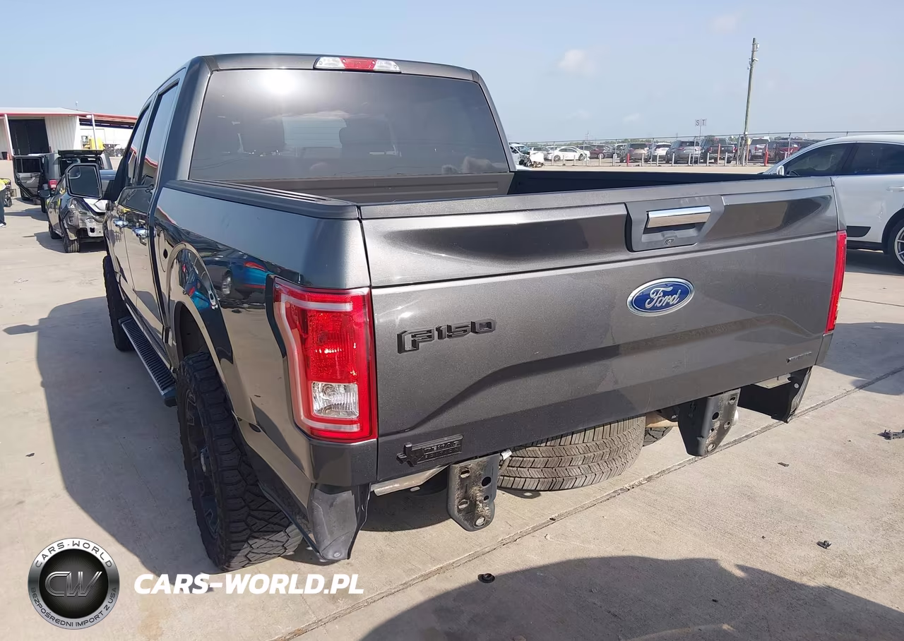 2016 Ford F-150 Xlt VIN:1FTEW1C86GKF10606 - 6