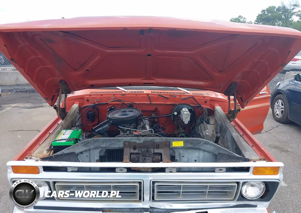 1977 Ford F-150 VIN:F15BE025003 - 10