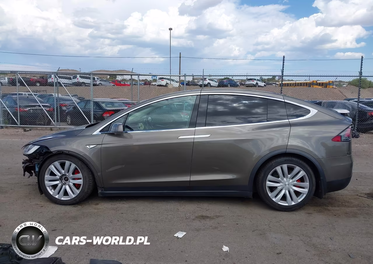 2016 Tesla Model X 75D-P100D-P90D VIN:5YJXCBE4XGF002993 - 14