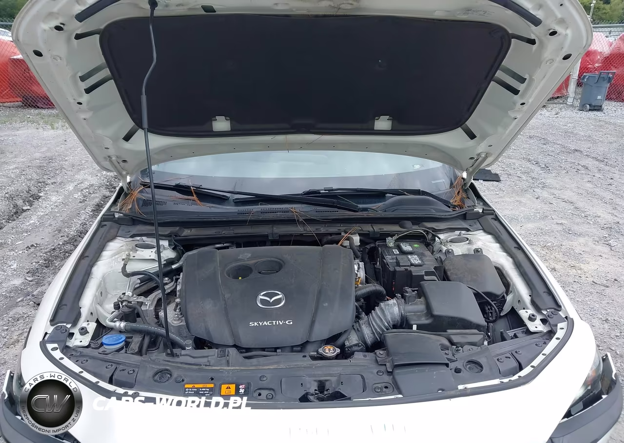 2019 Mazda Mazda3 Preferred Package VIN:JM1BPBMMXK1127218 - 10