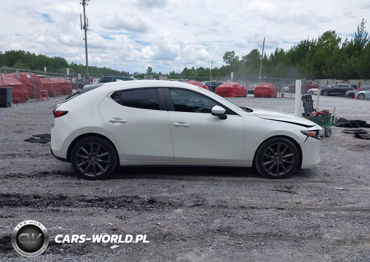 2019 Mazda Mazda3 Preferred Package VIN:JM1BPBMMXK1127218 - 13