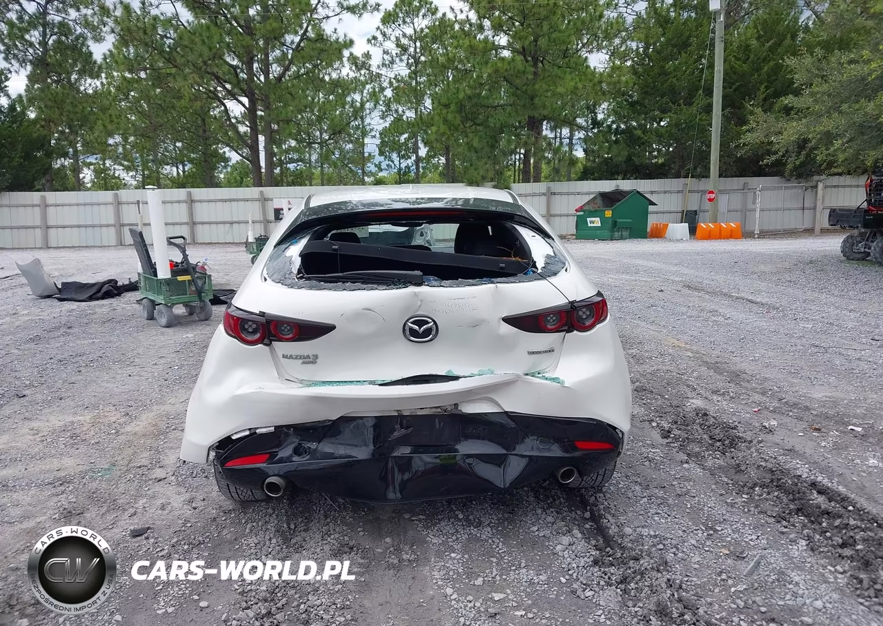 2019 Mazda Mazda3 Preferred Package VIN:JM1BPBMMXK1127218 - 16