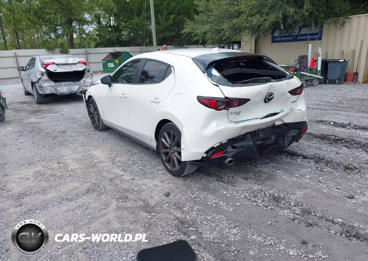 2019 Mazda Mazda3 Preferred Package VIN:JM1BPBMMXK1127218 - 3