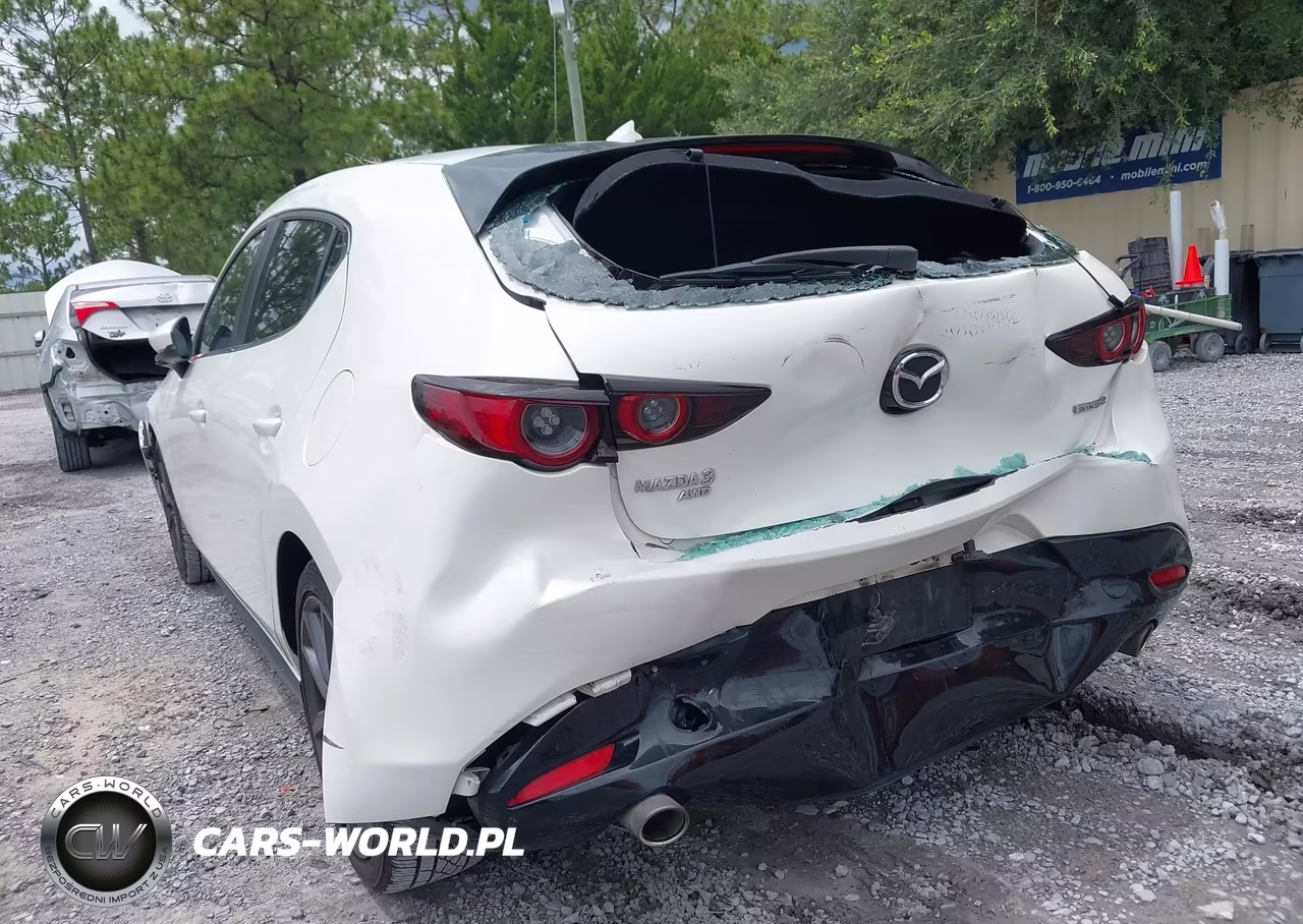 2019 Mazda Mazda3 Preferred Package VIN:JM1BPBMMXK1127218 - 6