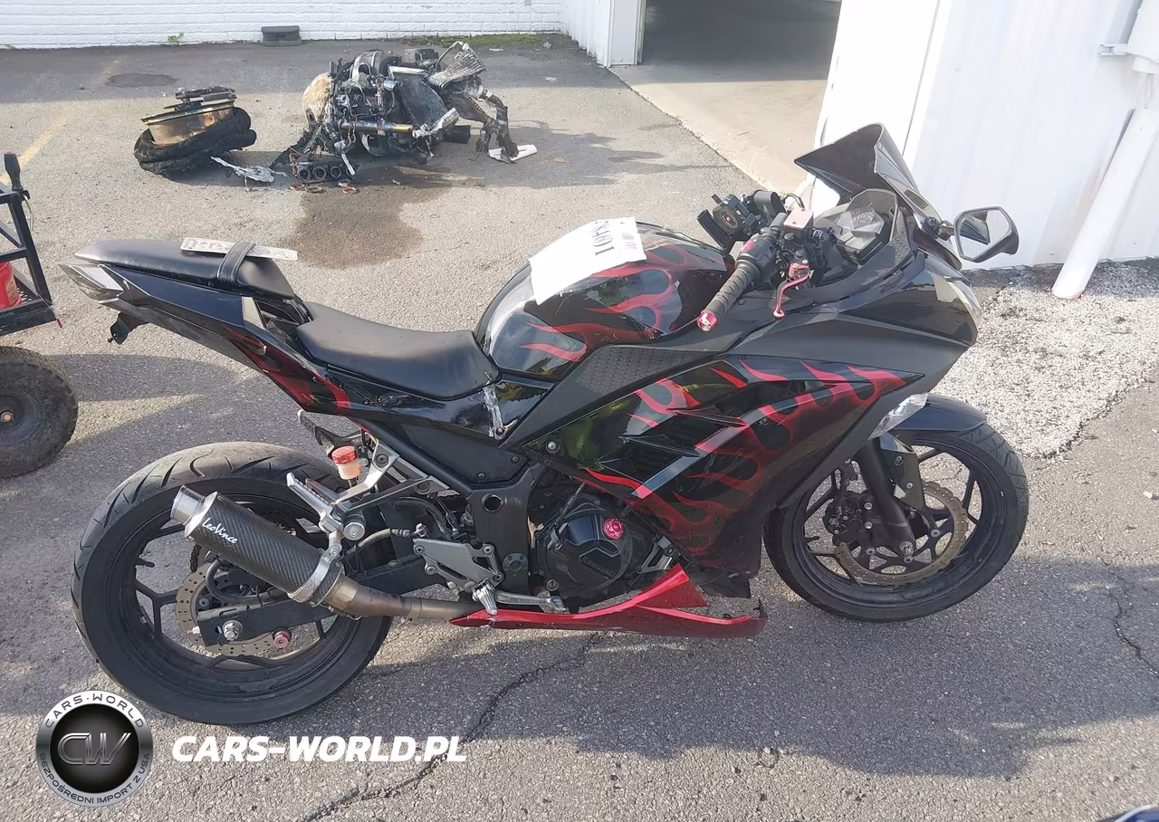2013 Kawasaki Ex300 A VIN:JKAEX8A19DDA08326 - 12