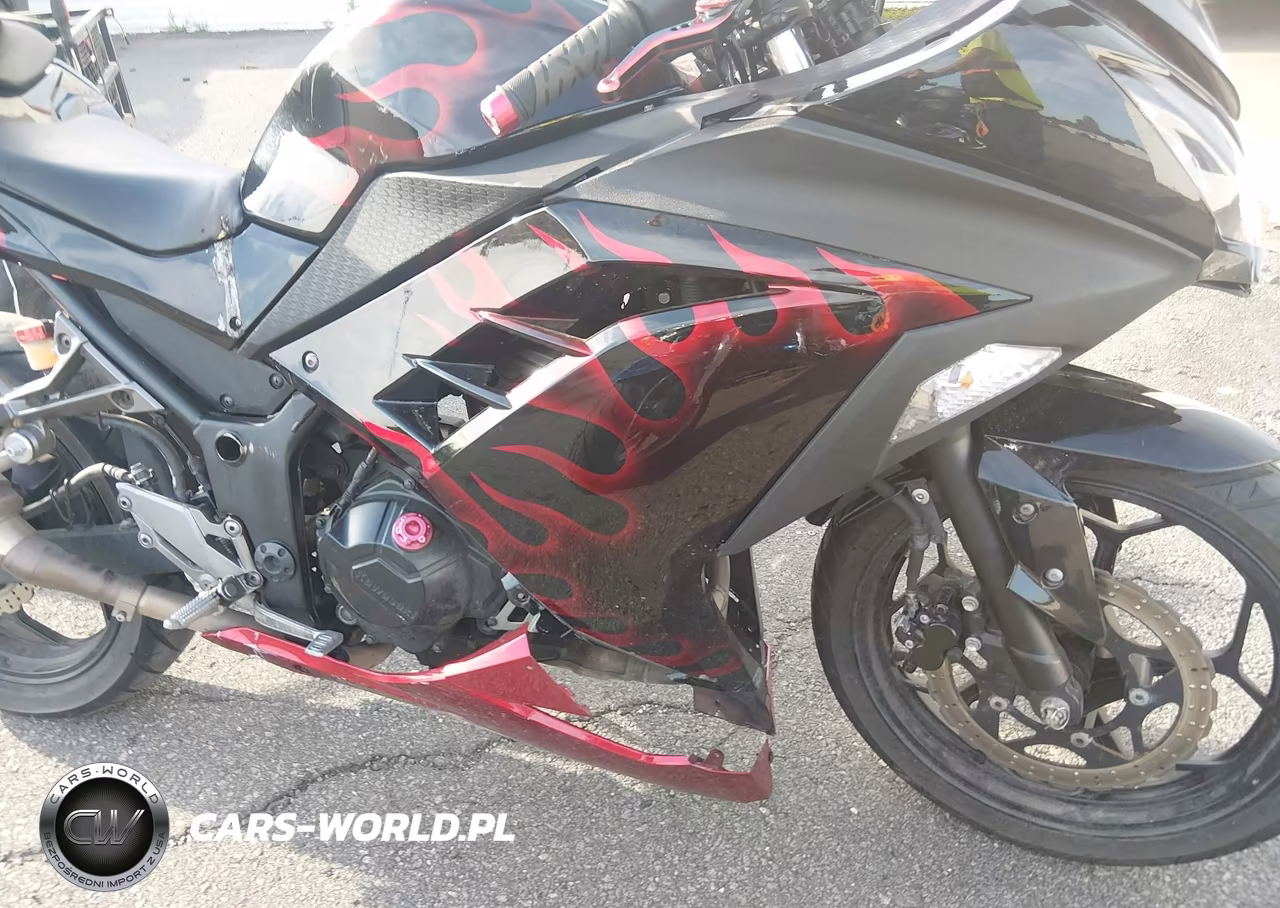 2013 Kawasaki Ex300 A VIN:JKAEX8A19DDA08326 - 8
