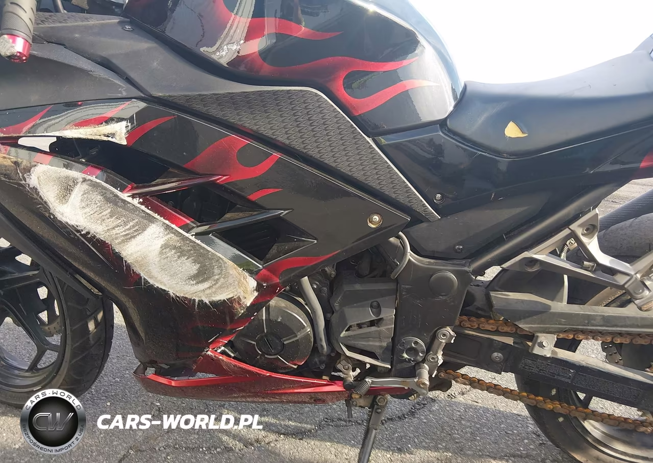 2013 Kawasaki Ex300 A VIN:JKAEX8A19DDA08326 - 9