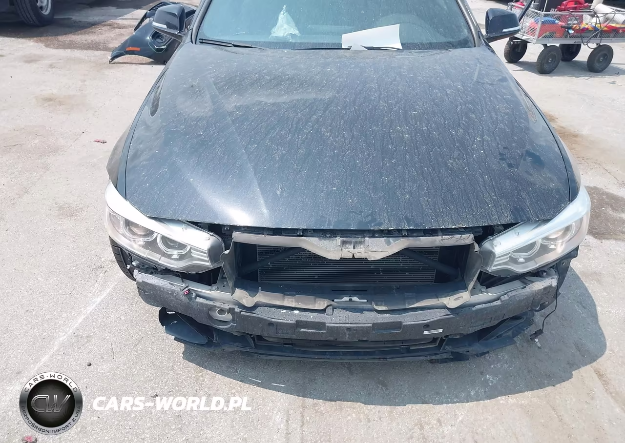 2014 BMW 428I xDrive VIN:WBA3N5C50EF716336 - 6
