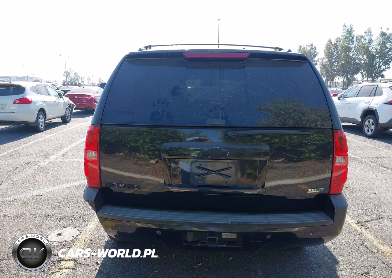 2010 Chevrolet Tahoe Lt VIN:1GNUCBE00AR164432 - 19