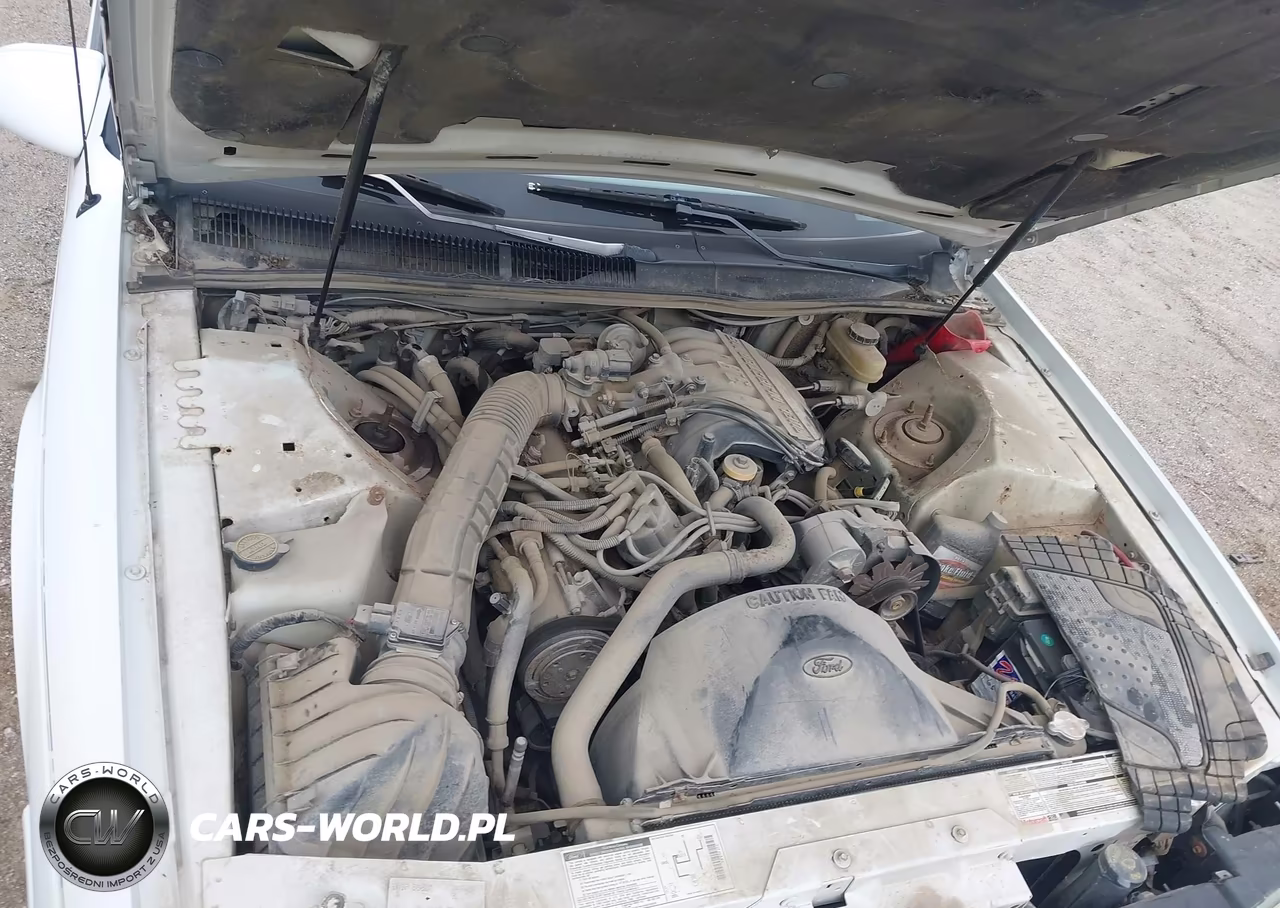 1993 Ford Thunderbird Lx VIN:1FAPP6247PH147401 - 10