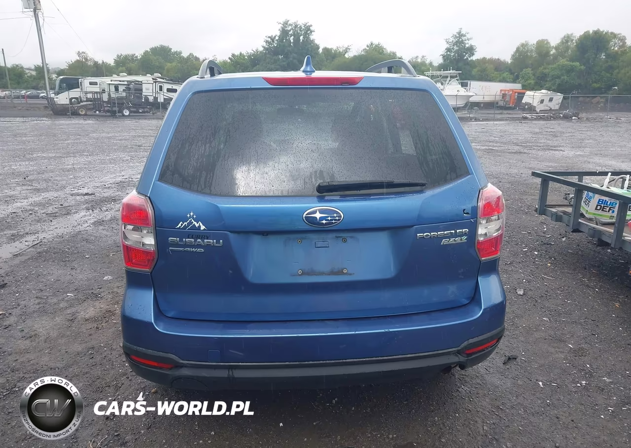 2016 Subaru Forester 2.5I Premium VIN:JF2SJADC6GH451642 - 17