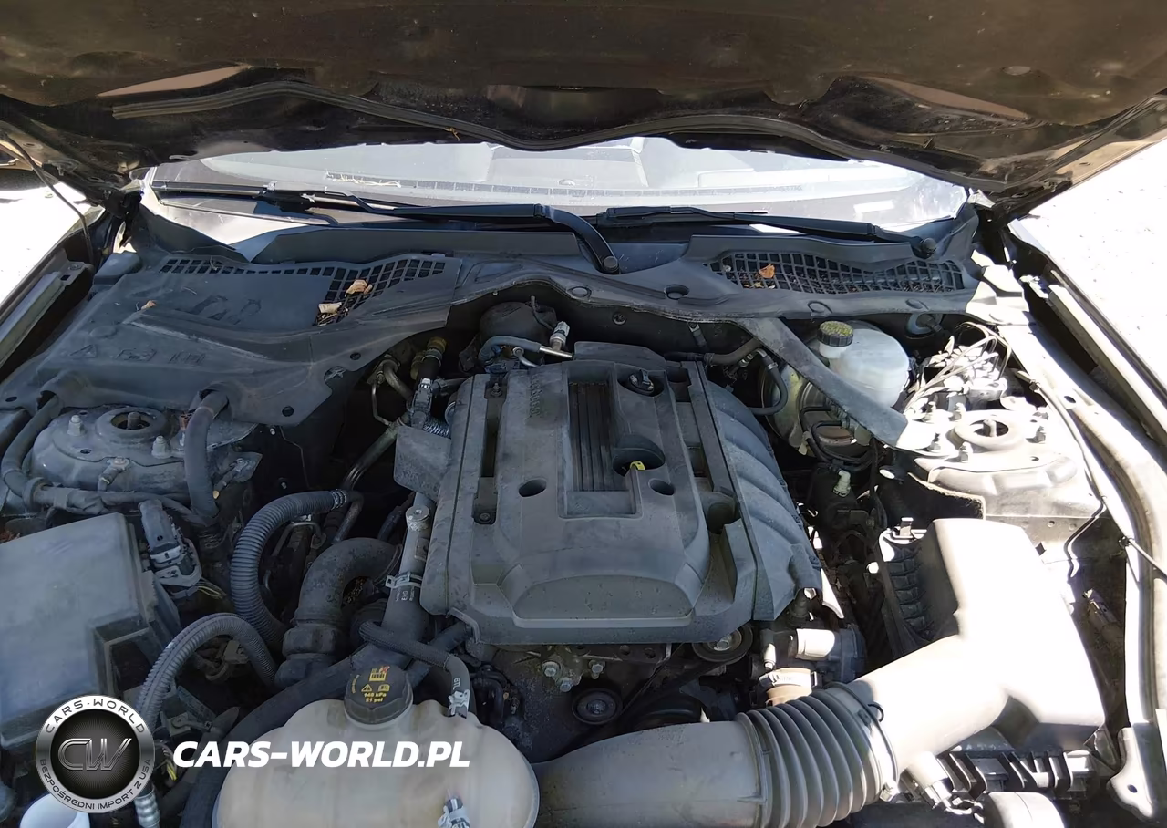 2018 Ford Mustang Ecoboost Premium VIN:1FATP8UH4J5136214 - 10