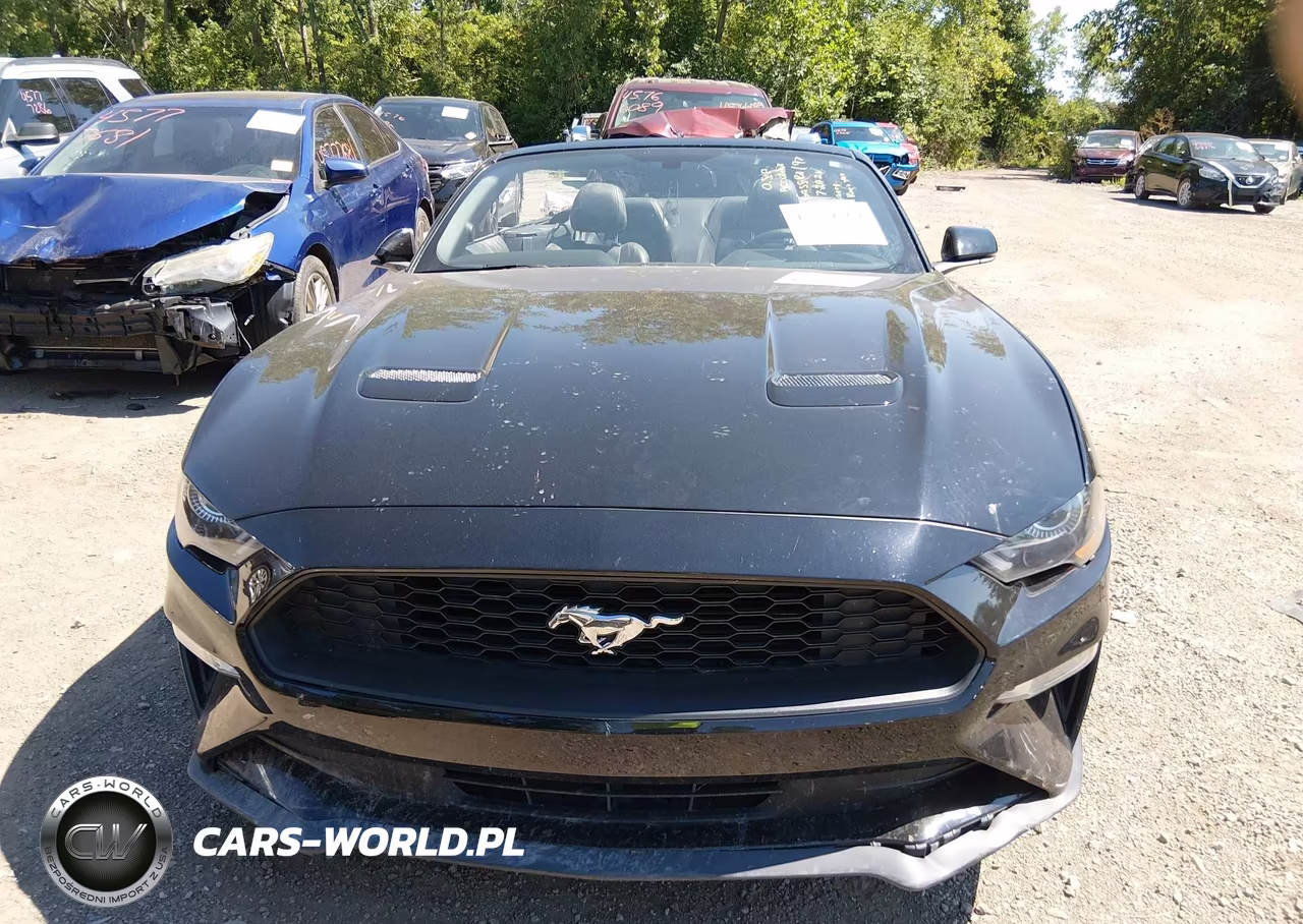 2018 Ford Mustang Ecoboost Premium VIN:1FATP8UH4J5136214 - 12