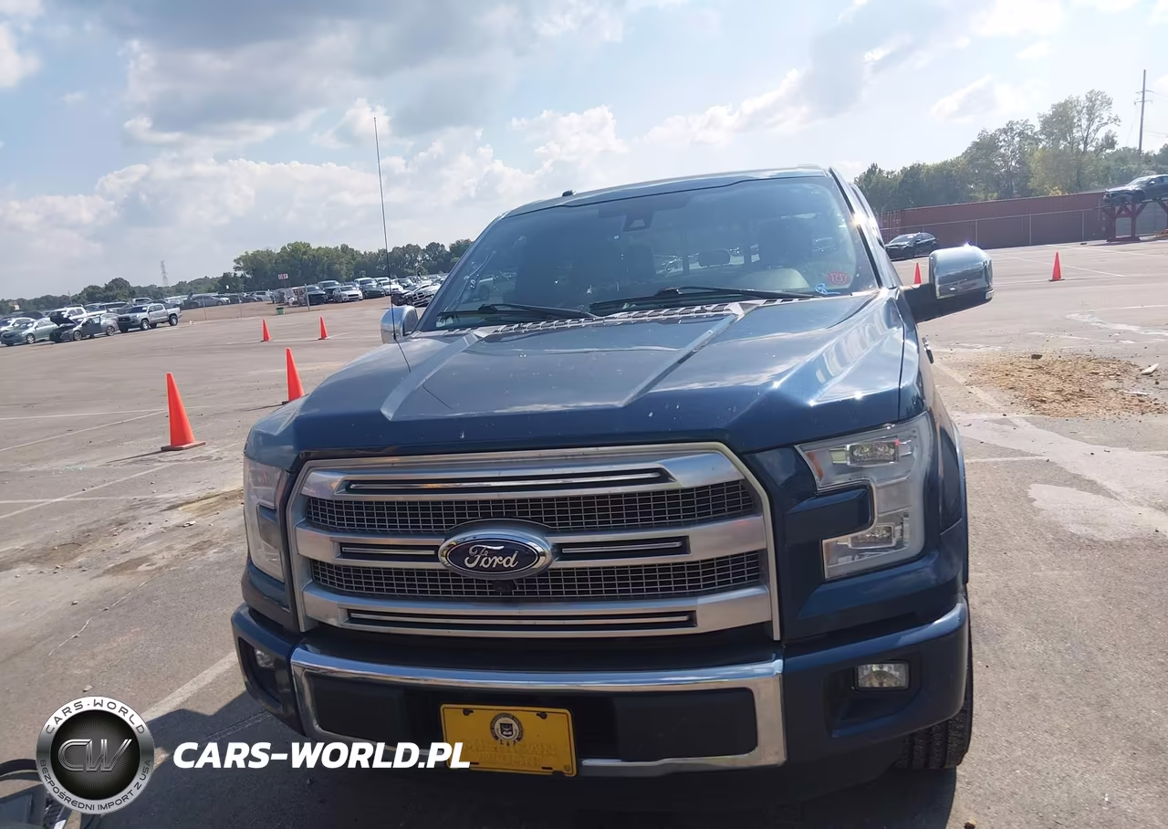 2015 Ford F-150 Platinum VIN:1FTEW1CGXFFC77098 - 12