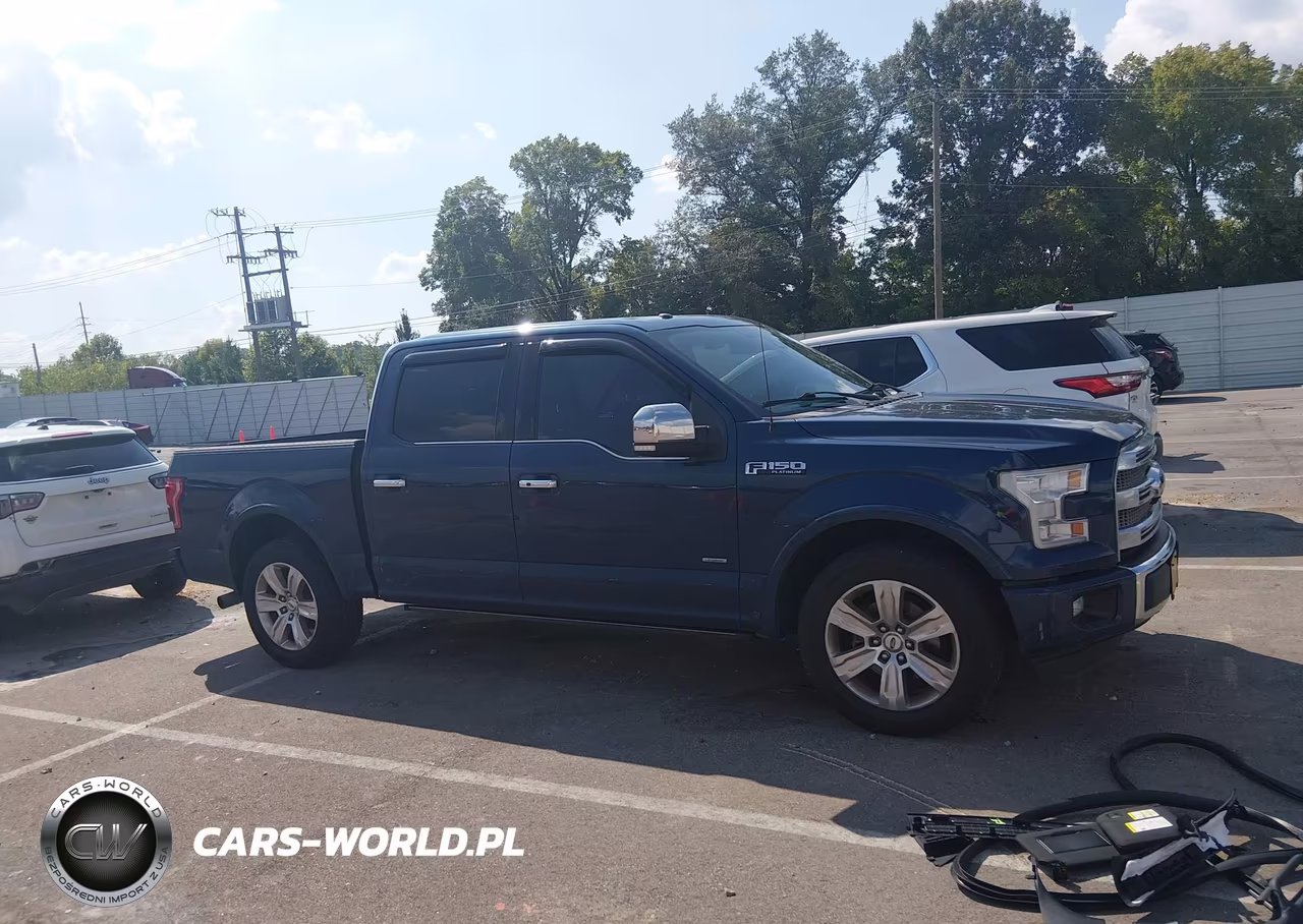 2015 Ford F-150 Platinum VIN:1FTEW1CGXFFC77098 - 13