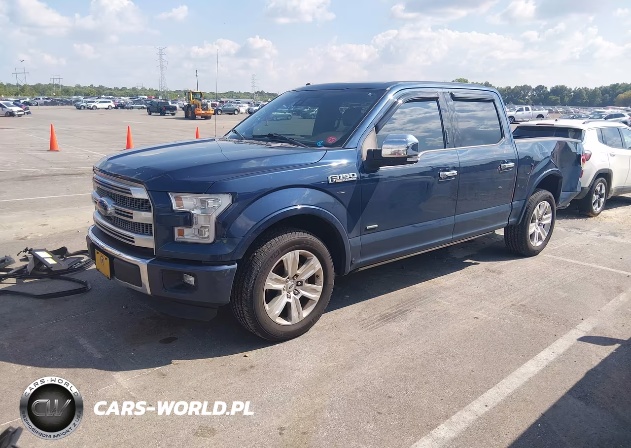 2015 Ford F-150 Platinum VIN:1FTEW1CGXFFC77098 - 2
