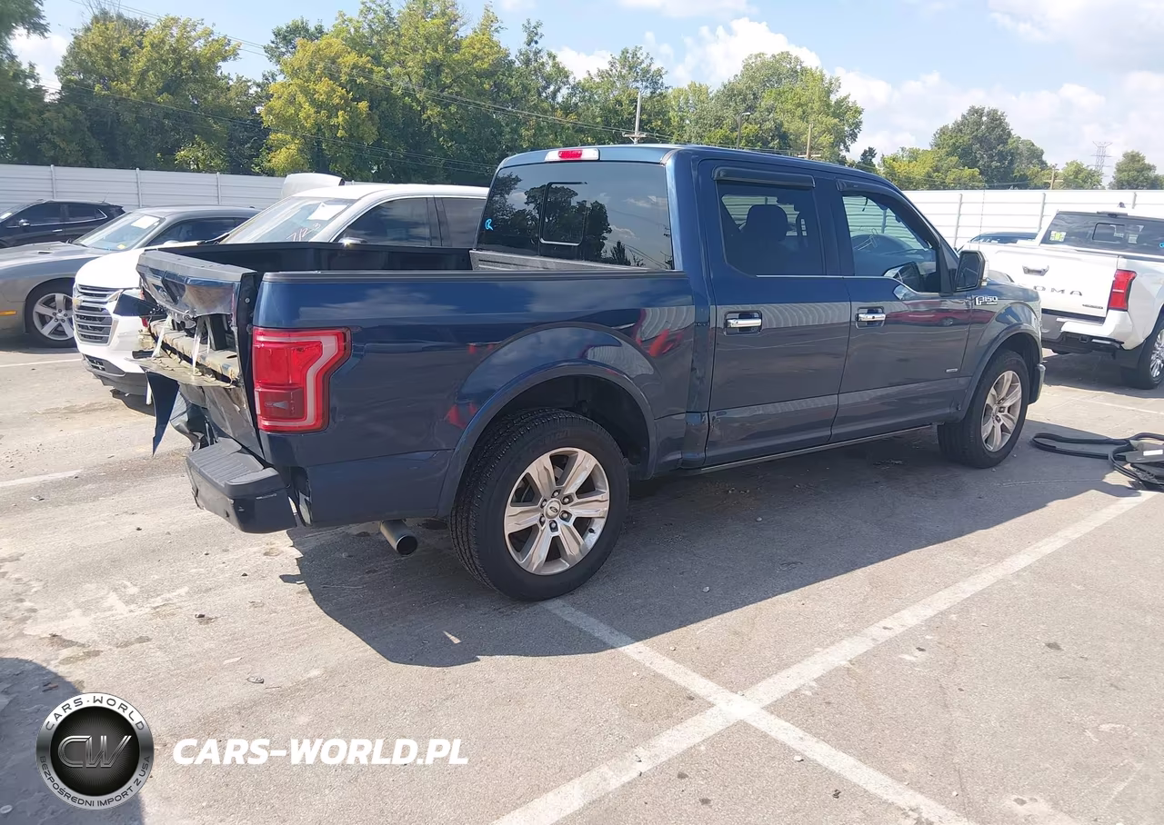 2015 Ford F-150 Platinum VIN:1FTEW1CGXFFC77098 - 4