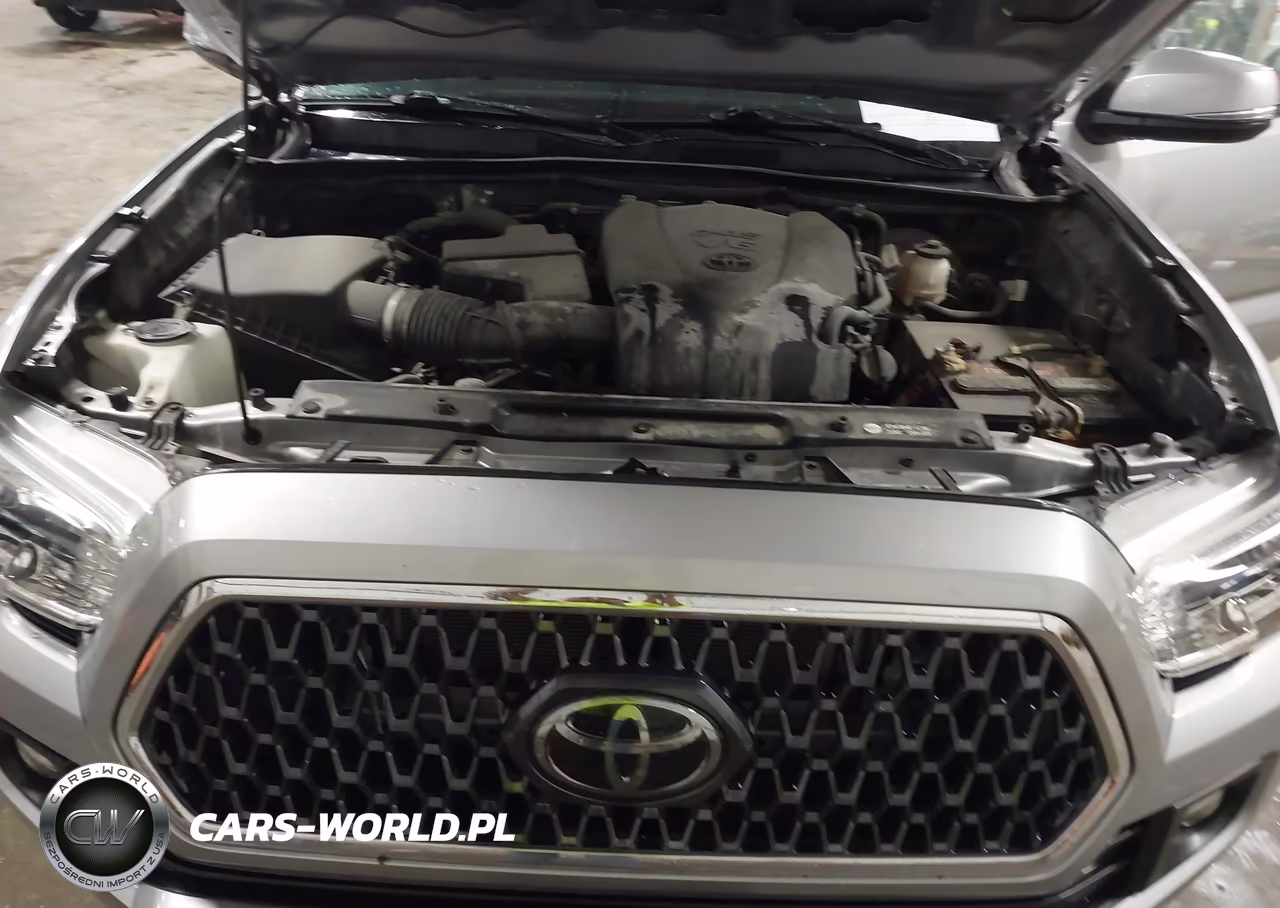 2019 Toyota Tacoma Trd Sport VIN:5TFCZ5AN7KX166391 - 10