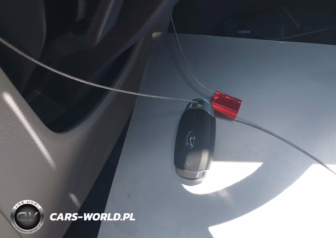 2021 Hyundai Palisade Limited VIN:KM8R54HE8MU332701 - 11