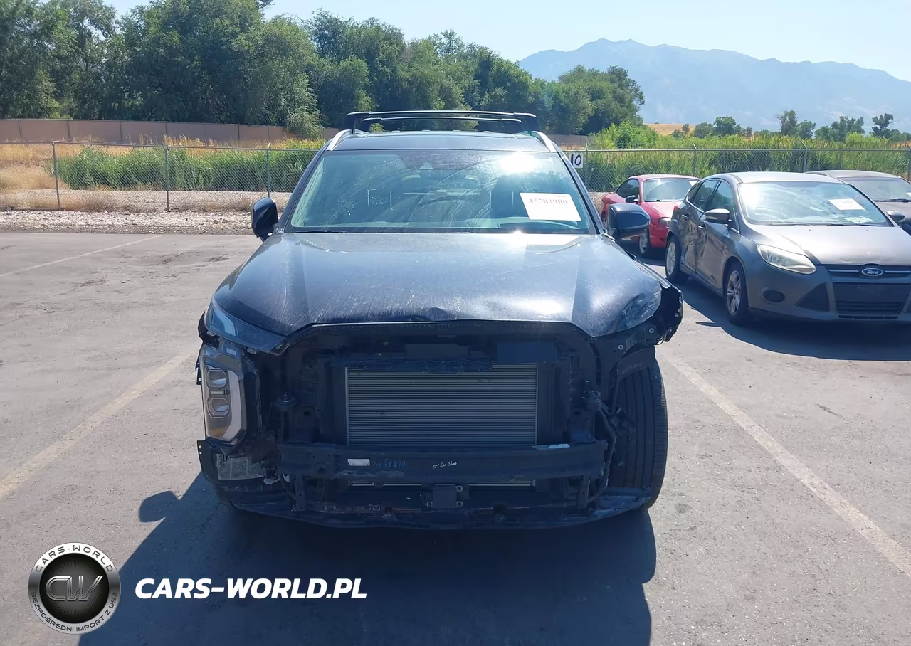 2021 Hyundai Palisade Limited VIN:KM8R54HE8MU332701 - 12