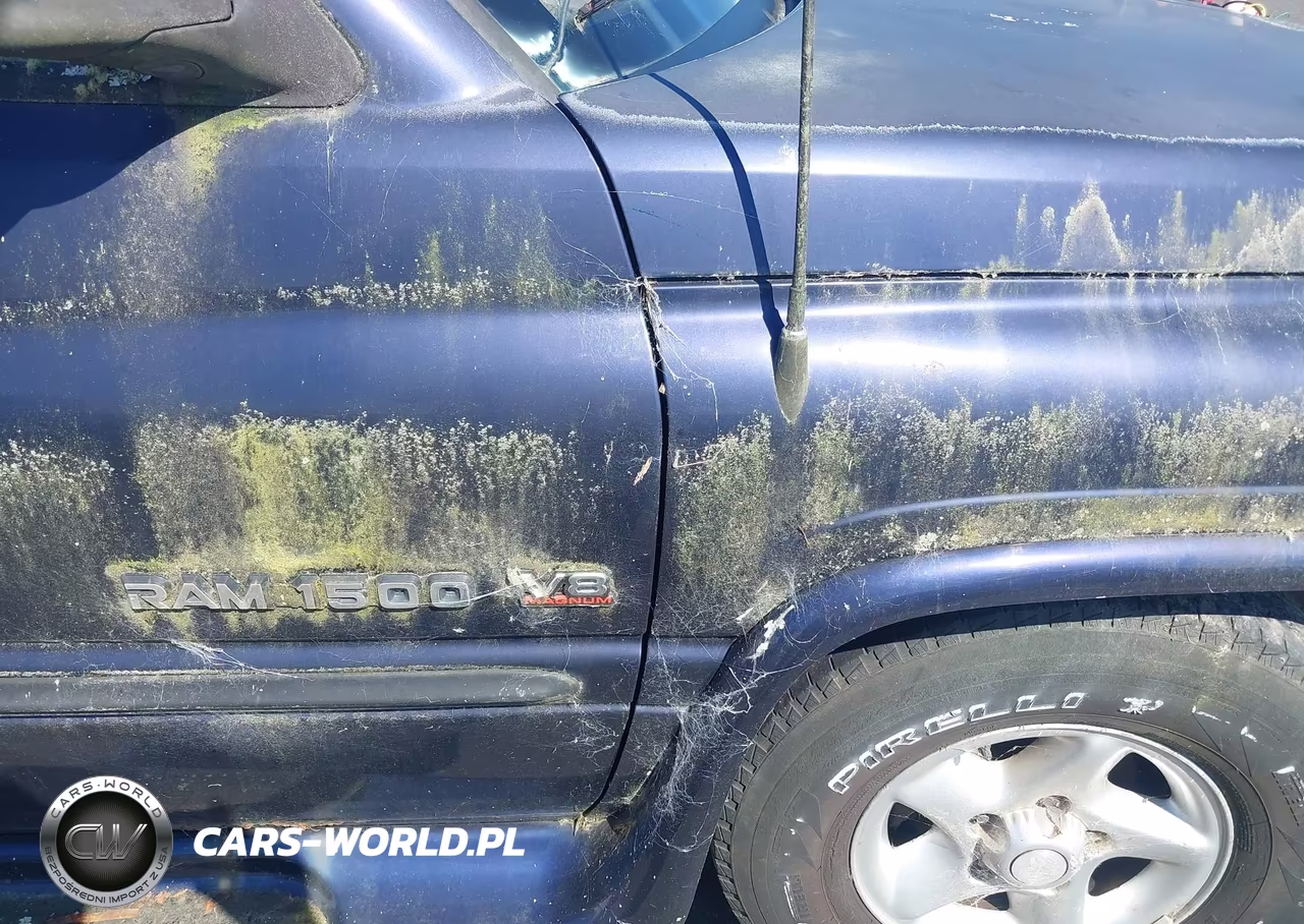 1999 Dodge Ram 1500 St VIN:3B7HC13Y8XG102380 - 13