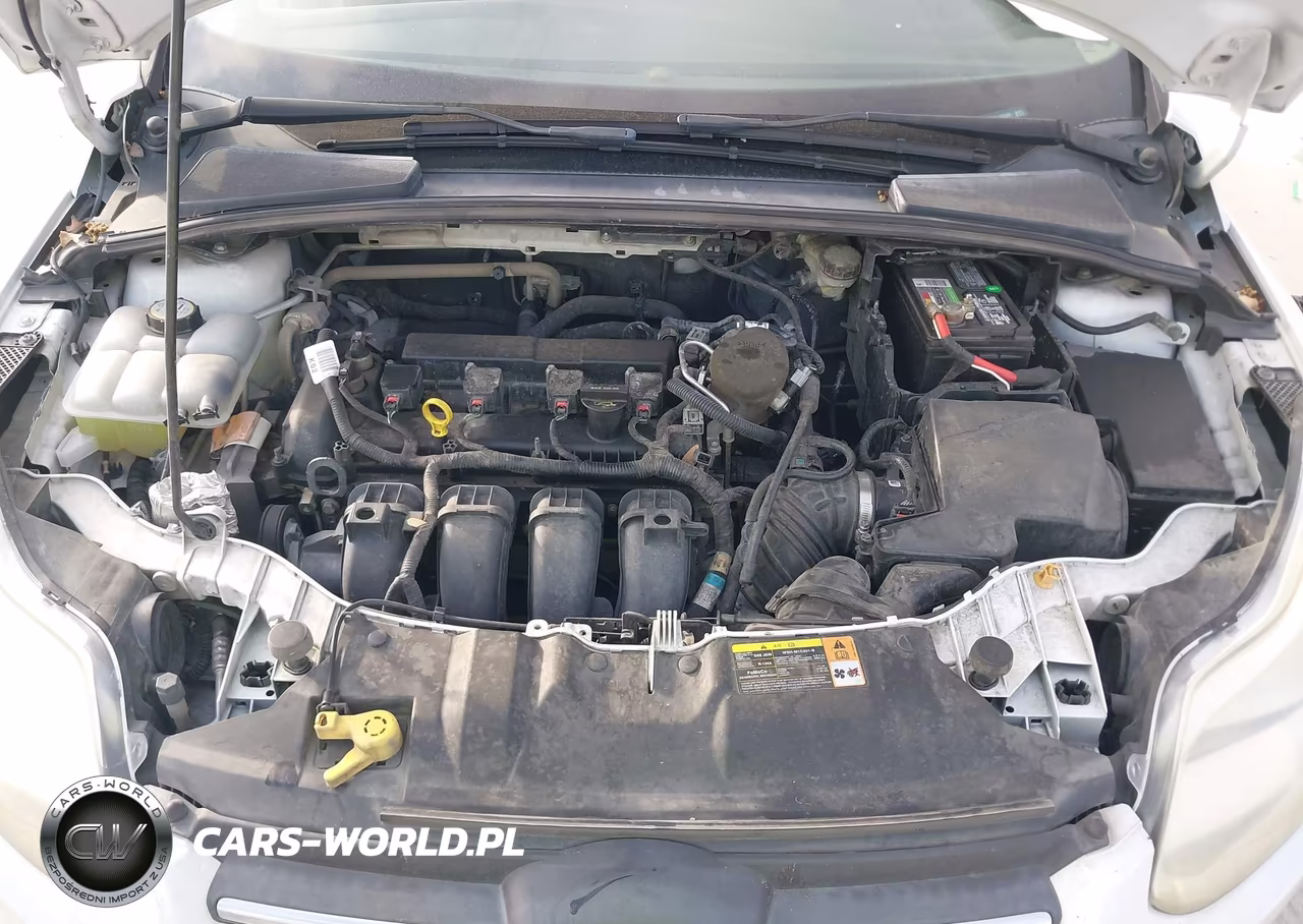 2014 Ford Focus Se VIN:1FADP3F23EL196096 - 10