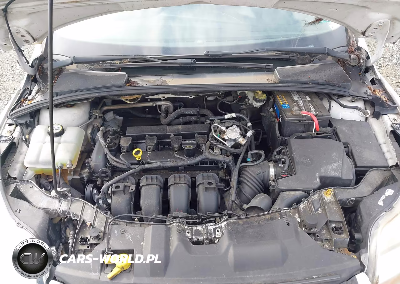 2012 Ford Focus Sel VIN:1FAHP3M28CL393606 - 10