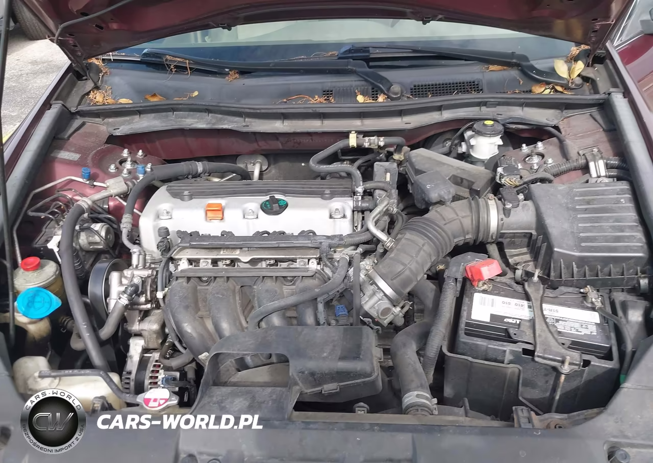 2010 Honda Accord 2.4 Lx VIN:1HGCP2F3XAA190618 - 10