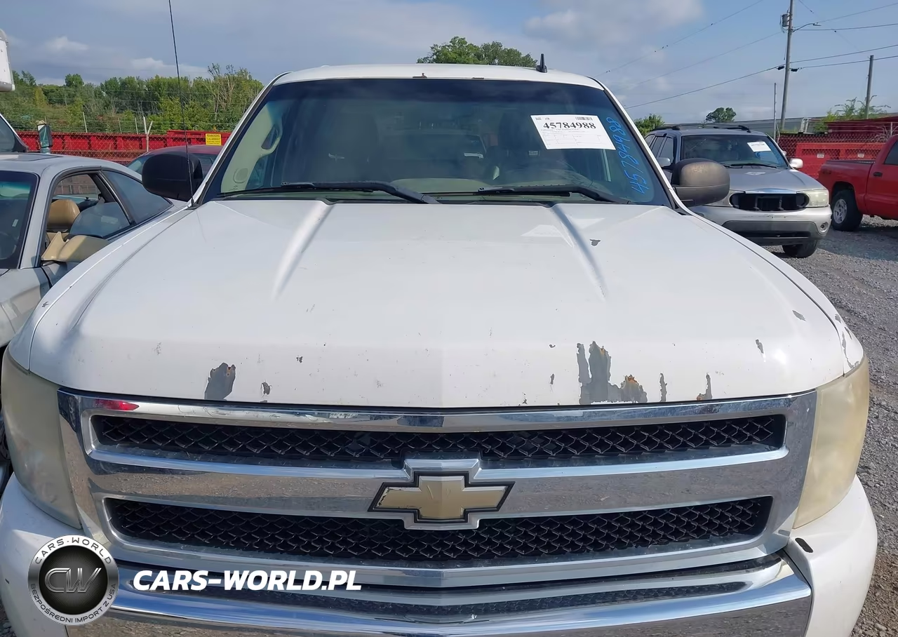 2010 Chevrolet Silverado 1500 Lt VIN:3GCRCSE09AG201637 - 19