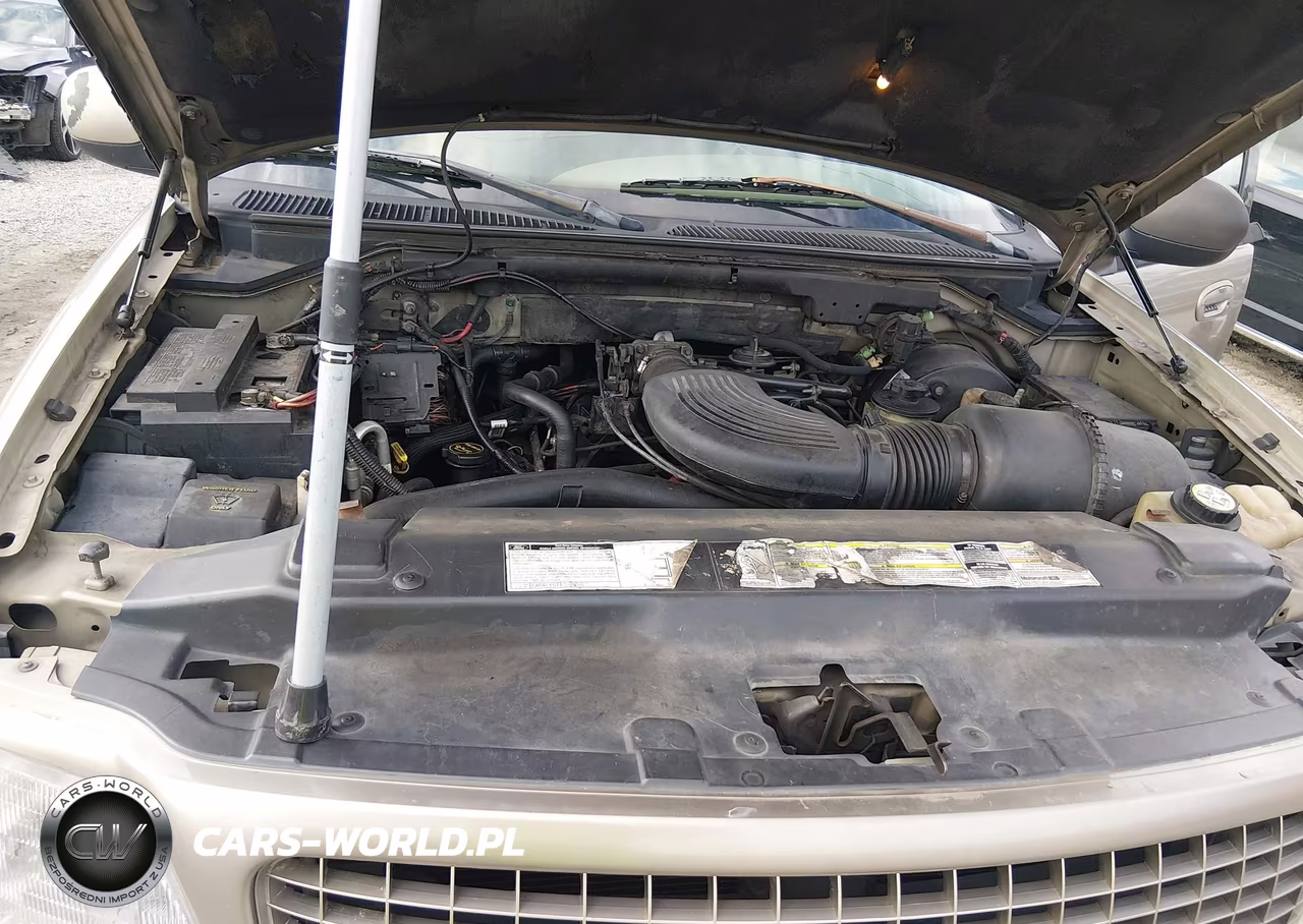 2002 Ford Expedition Eddie Bauer VIN:1FMRU17L82LA68092 - 10