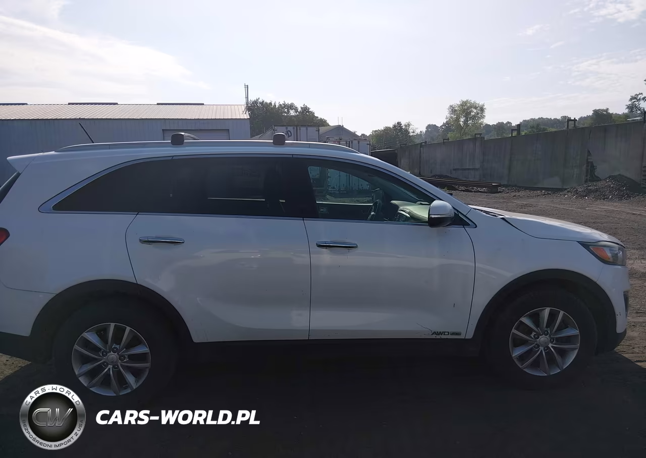 2018 Kia Sorento 3.3L Lx VIN:5XYPGDA55JG393517 - 13