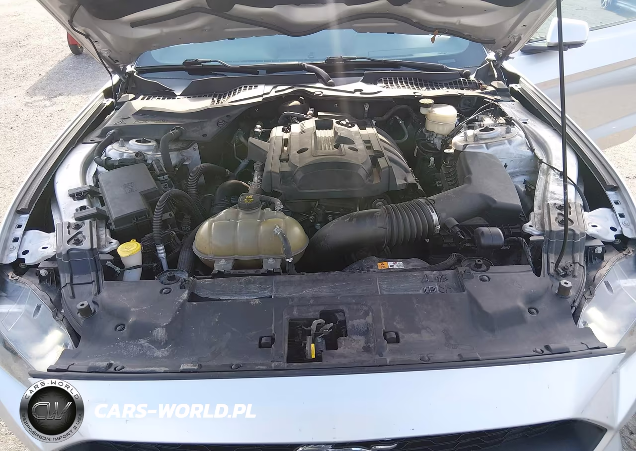 2018 Ford Mustang Ecoboost VIN:1FA6P8TH3J5102361 - 10