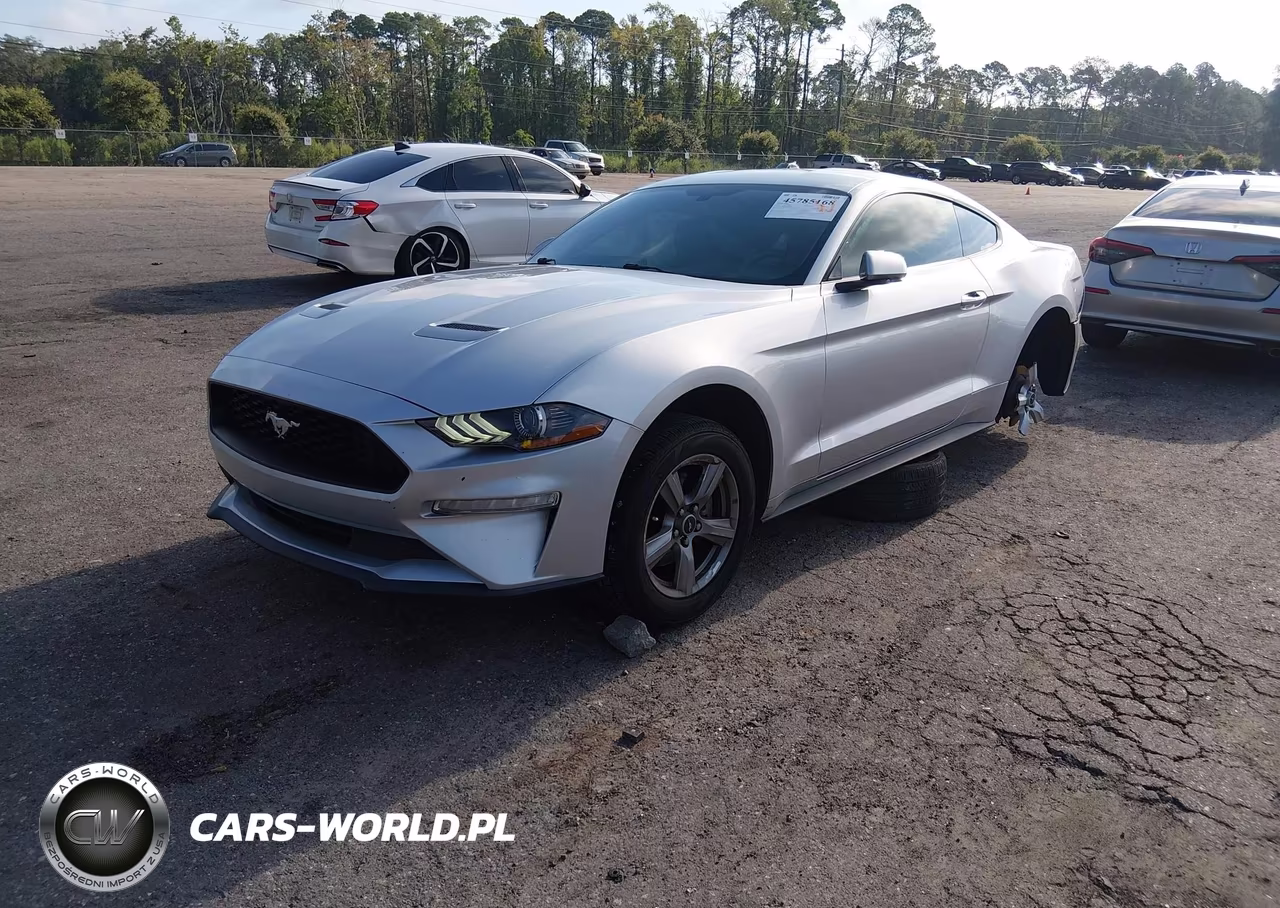 2018 Ford Mustang Ecoboost VIN:1FA6P8TH3J5102361 - 2